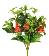 Datura bush x145lvs/6flrs 54cm   flame   6/48