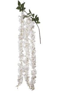 Wisteria branch x 3groups flrs 90cm cream 48/192