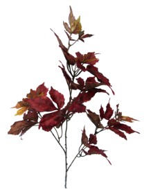 Boston Ivy autumn stemx3  94cm   red   12/144