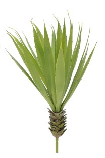 Agave plastic 32lvs 42cm   12/72