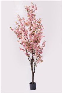 Cherry blossom tree light pink 180cm  0/2