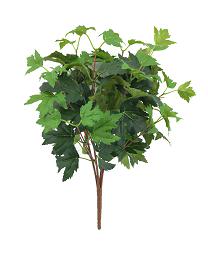 Grape Ivy bush 46cm   green   12/120