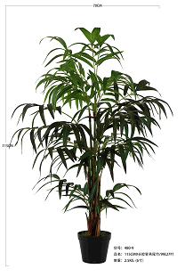 Areca palm tree 115cm   0/4