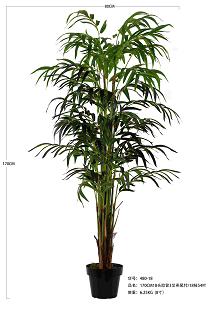 Areca palm tree 170cm   0/4