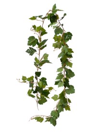 Grape ivy garland x127lvs  220cm  green  0/120