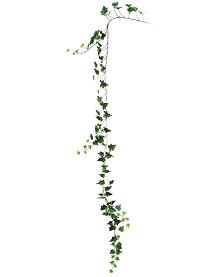 Ivy garland x98lvs 180cm   green/white   6/48