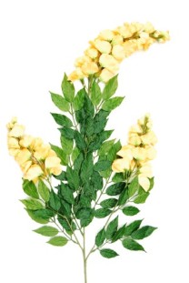 De Luxe Wisteria Spray x3 x81lvs   yellow  6/60