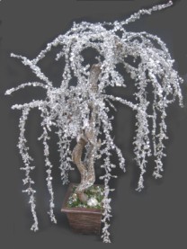 Beads & ice wepping tree potted  81cm  1/6